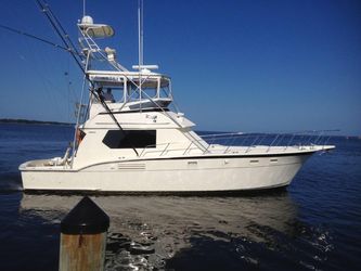 43' Hatteras 1981 Yacht For Sale